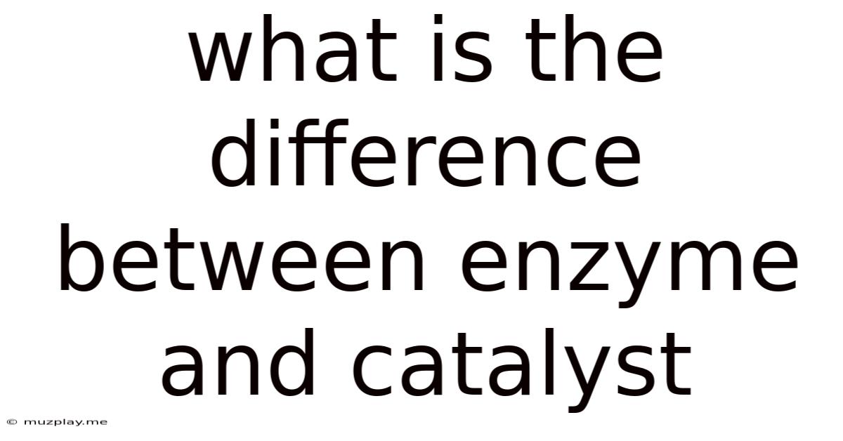 What Is The Difference Between Enzyme And Catalyst