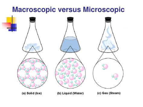 What Is The Difference Between Microscopic And Macroscopic