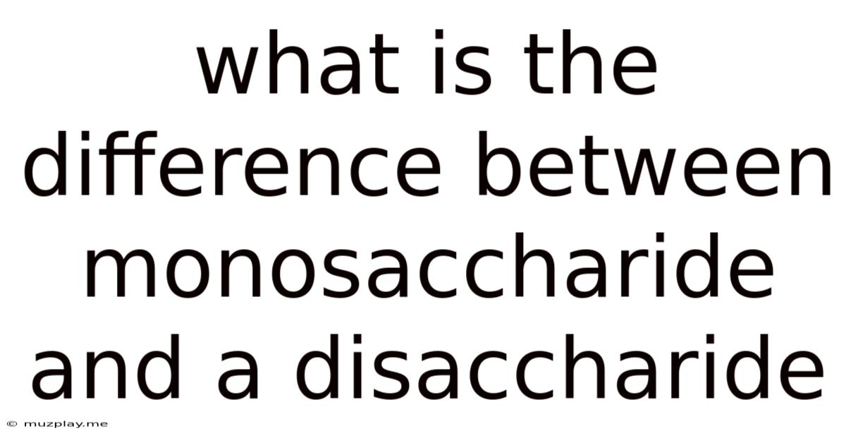 What Is The Difference Between Monosaccharide And A Disaccharide