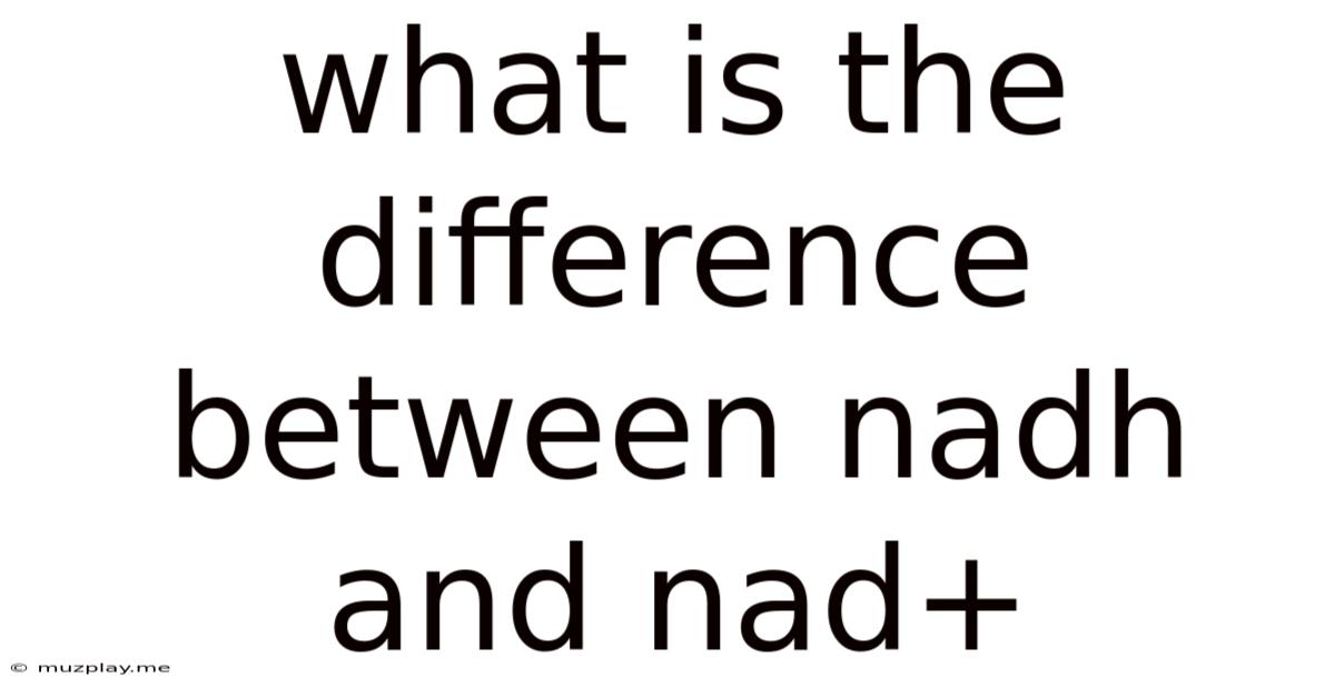 What Is The Difference Between Nadh And Nad+
