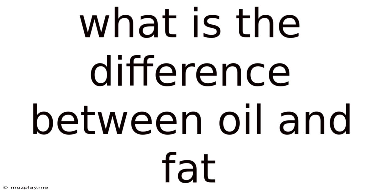 What Is The Difference Between Oil And Fat
