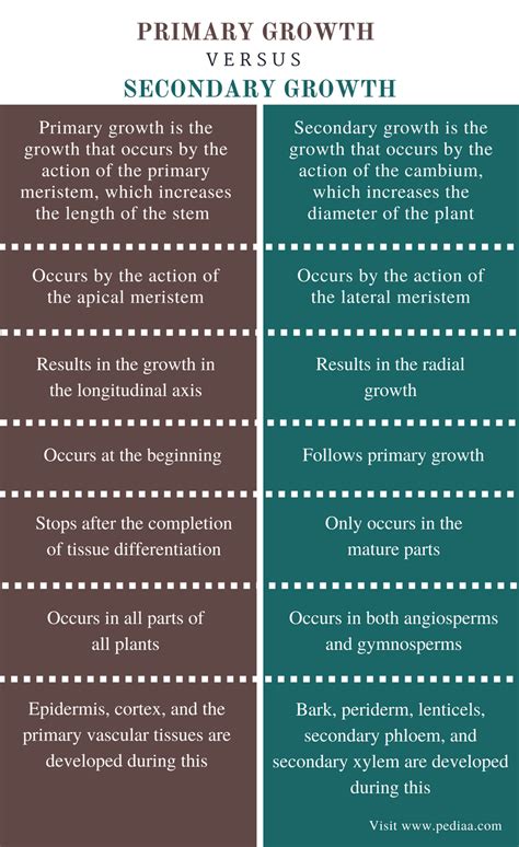 What Is The Difference Between Primary And Secondary Growth