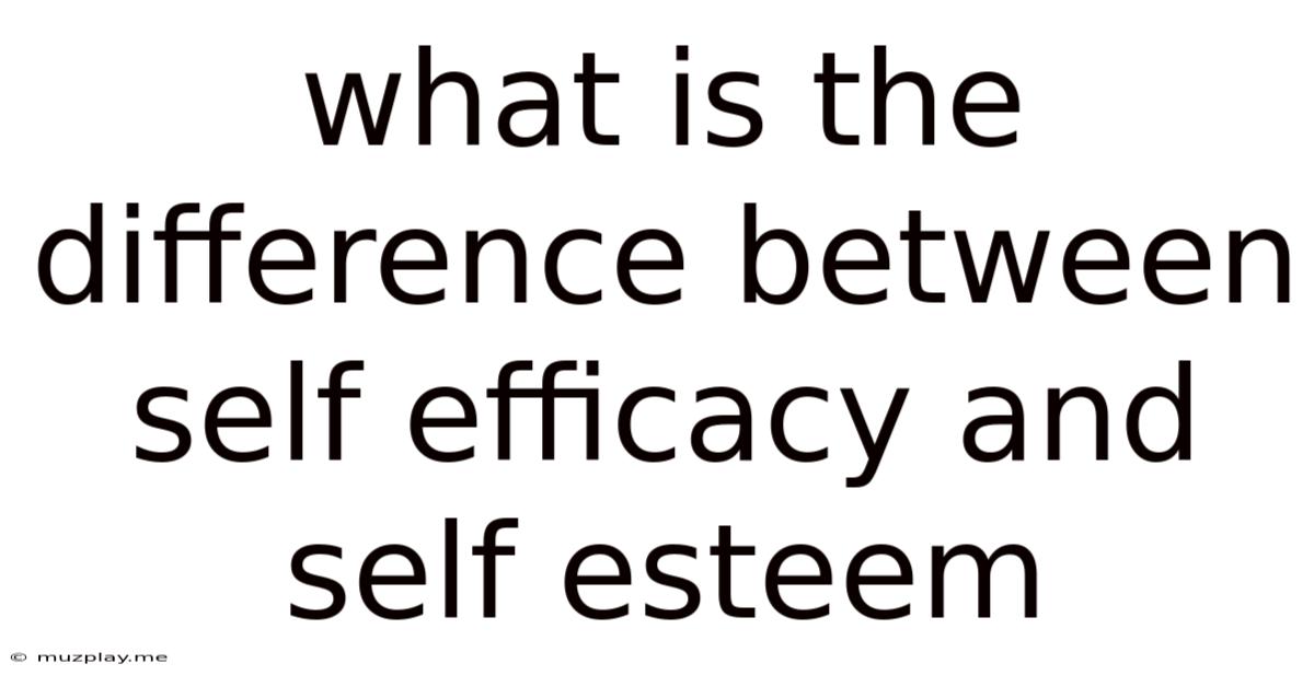 What Is The Difference Between Self Efficacy And Self Esteem