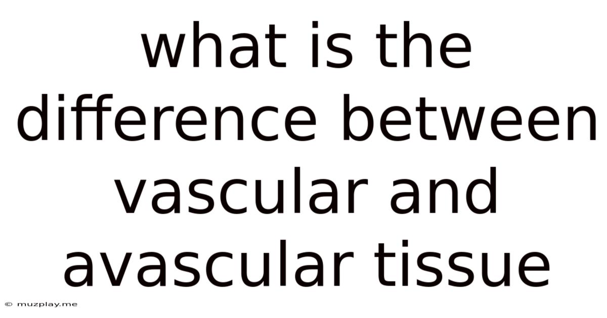 What Is The Difference Between Vascular And Avascular Tissue