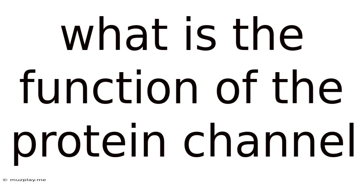 What Is The Function Of The Protein Channel