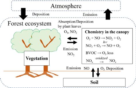 What Is The Gas Pressure Of Ecosystem