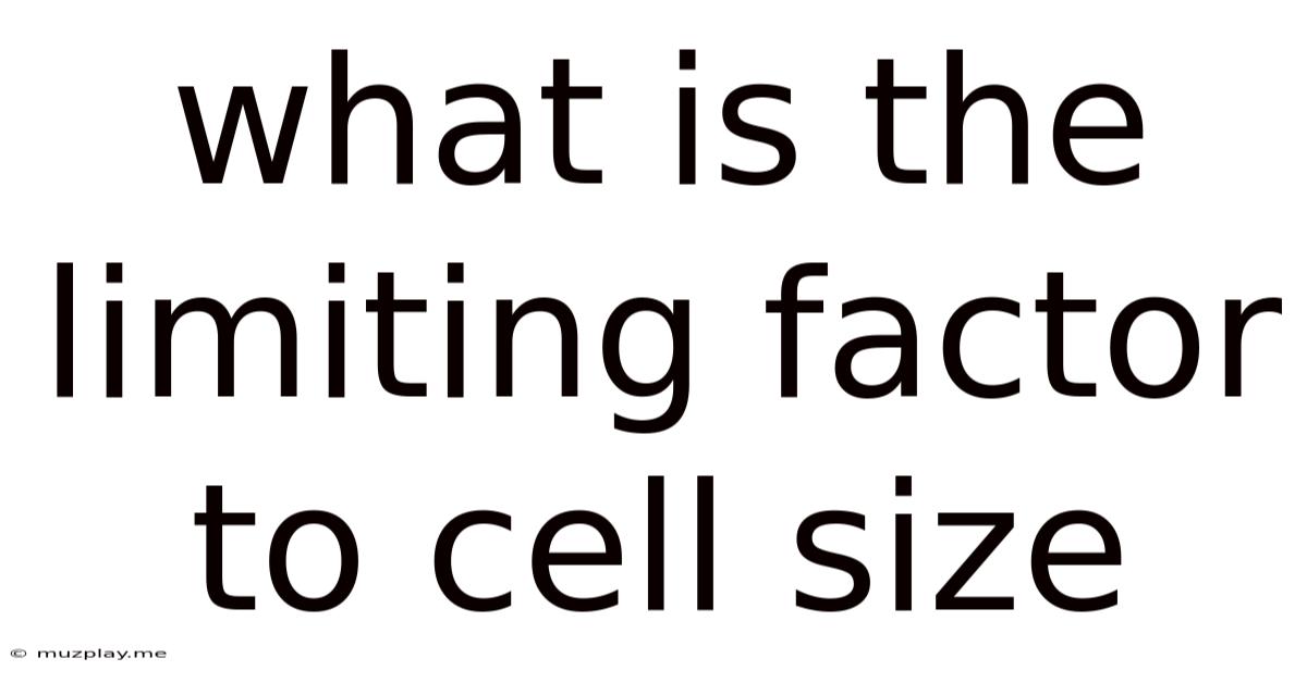 What Is The Limiting Factor To Cell Size