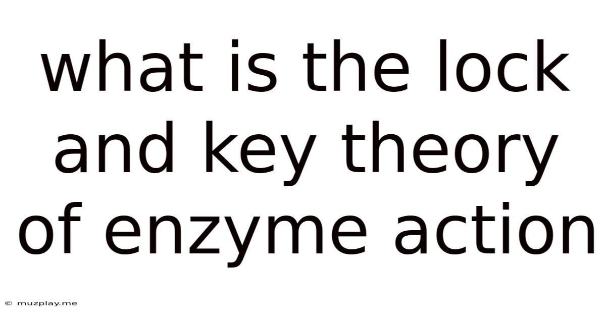 What Is The Lock And Key Theory Of Enzyme Action