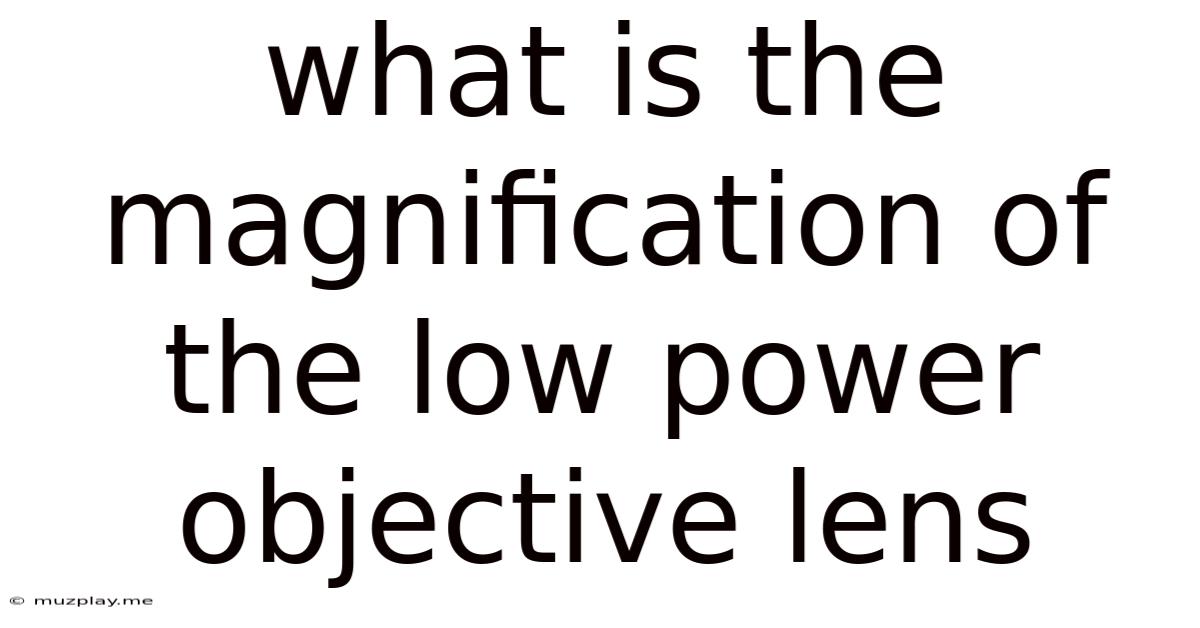 What Is The Magnification Of The Low Power Objective Lens
