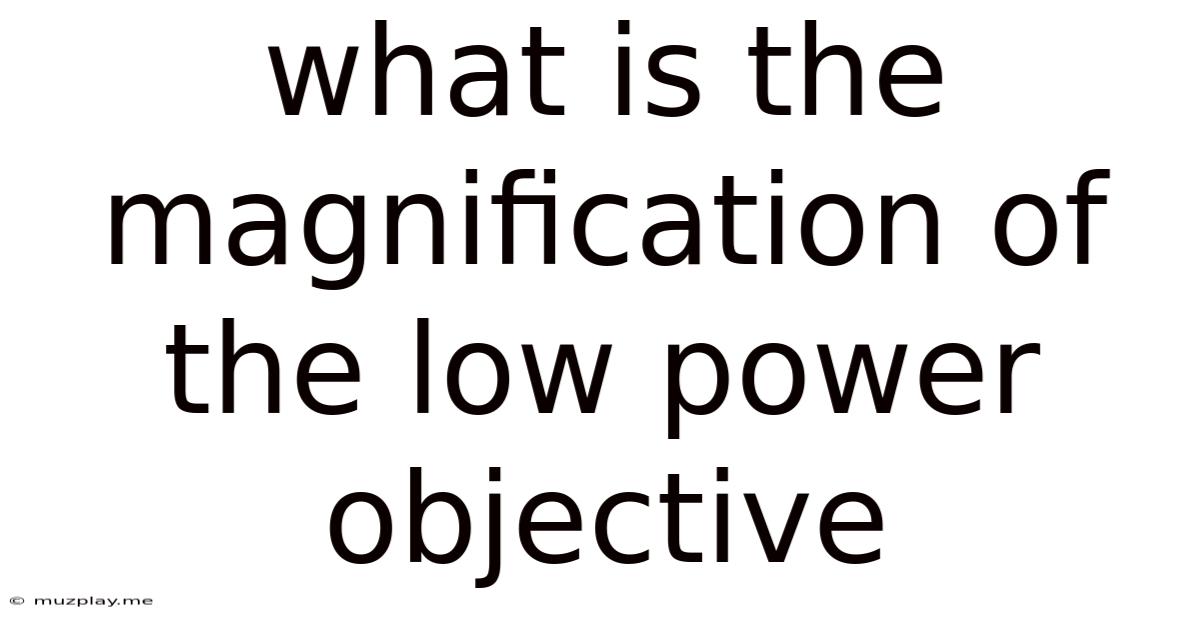 What Is The Magnification Of The Low Power Objective