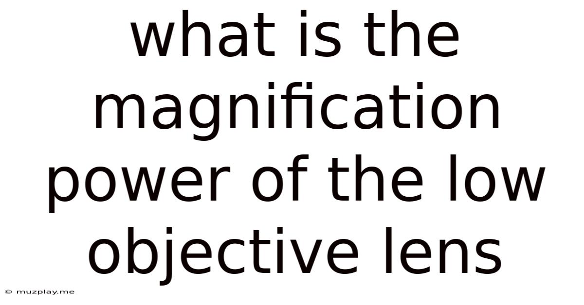 What Is The Magnification Power Of The Low Objective Lens
