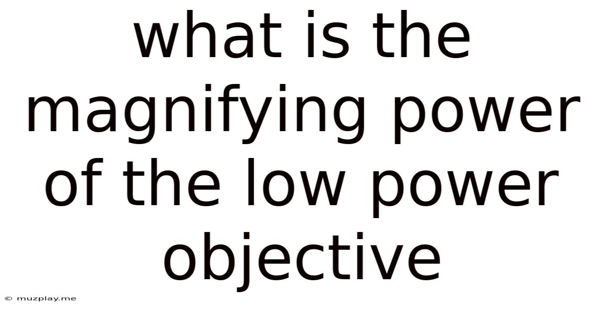 What Is The Magnifying Power Of The Low Power Objective