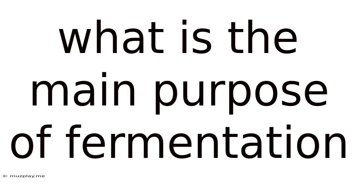 What Is The Main Purpose Of Fermentation