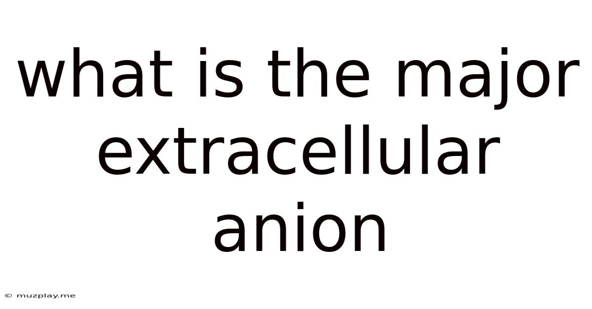 What Is The Major Extracellular Anion