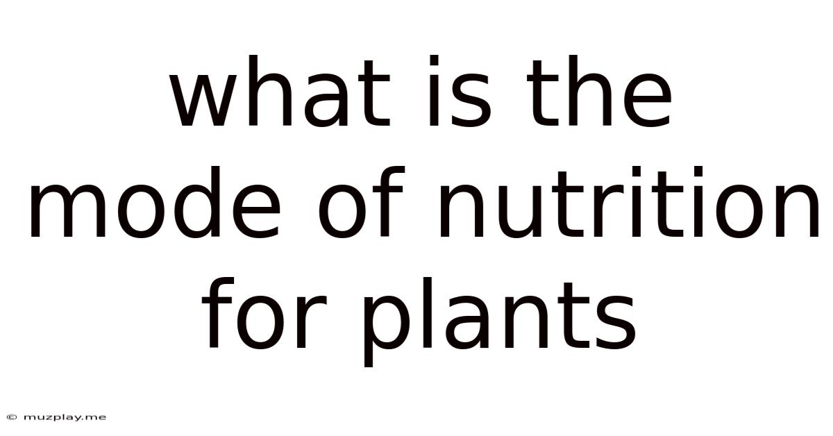 What Is The Mode Of Nutrition For Plants
