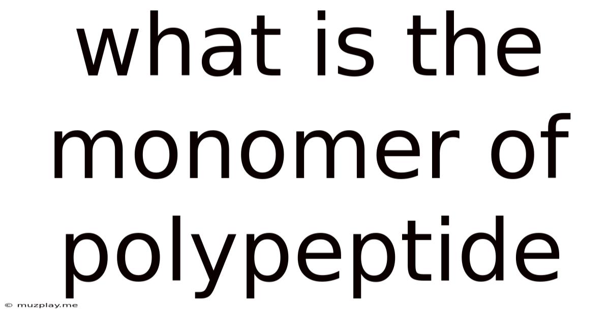 What Is The Monomer Of Polypeptide