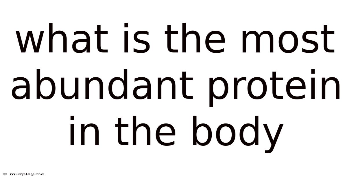 What Is The Most Abundant Protein In The Body