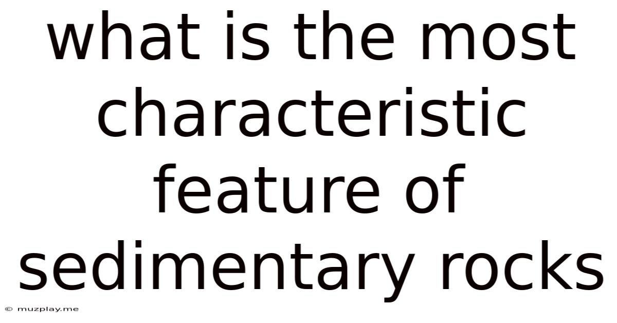 What Is The Most Characteristic Feature Of Sedimentary Rocks