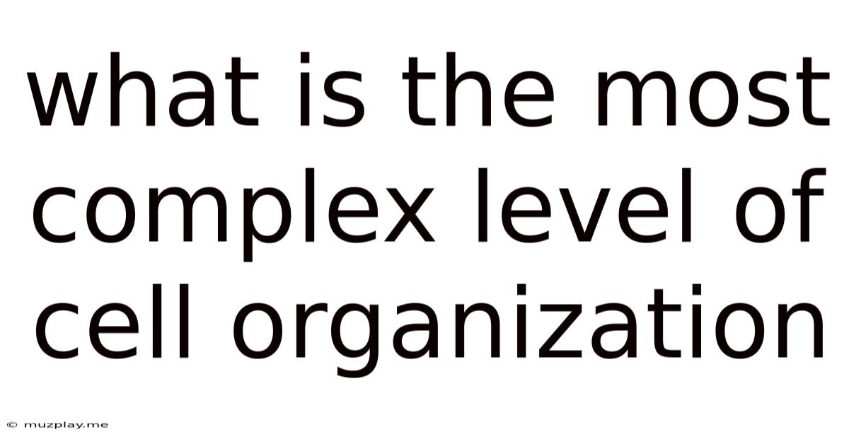 What Is The Most Complex Level Of Cell Organization