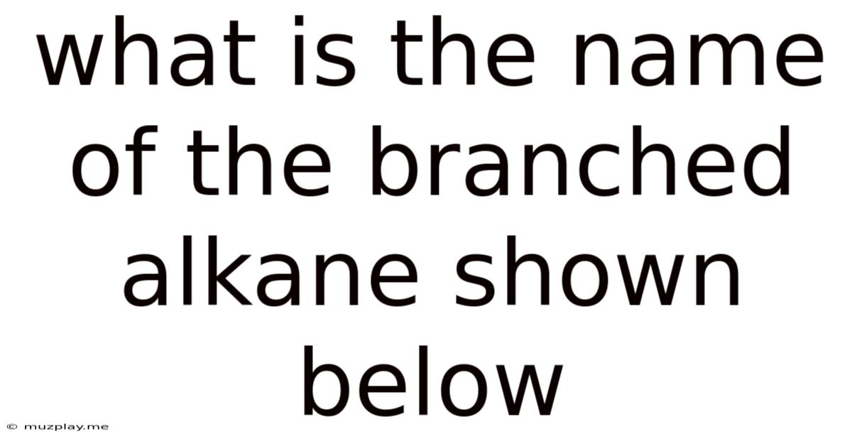 What Is The Name Of The Branched Alkane Shown Below