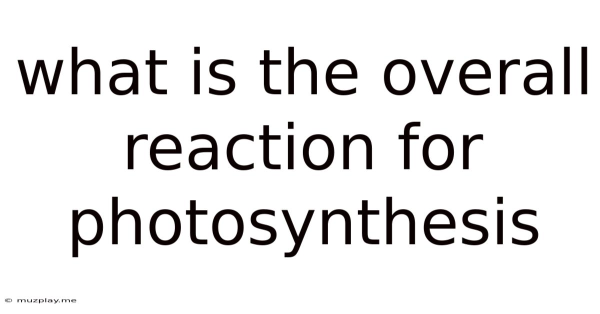 What Is The Overall Reaction For Photosynthesis