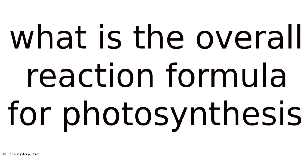 What Is The Overall Reaction Formula For Photosynthesis