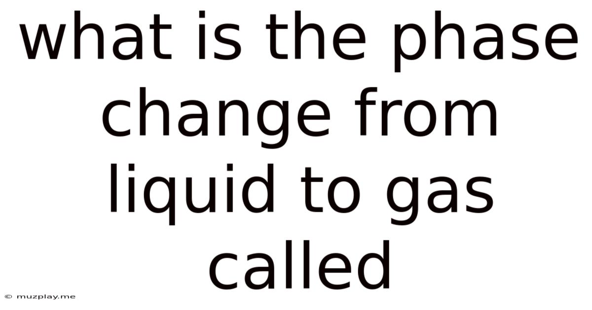 What Is The Phase Change From Liquid To Gas Called