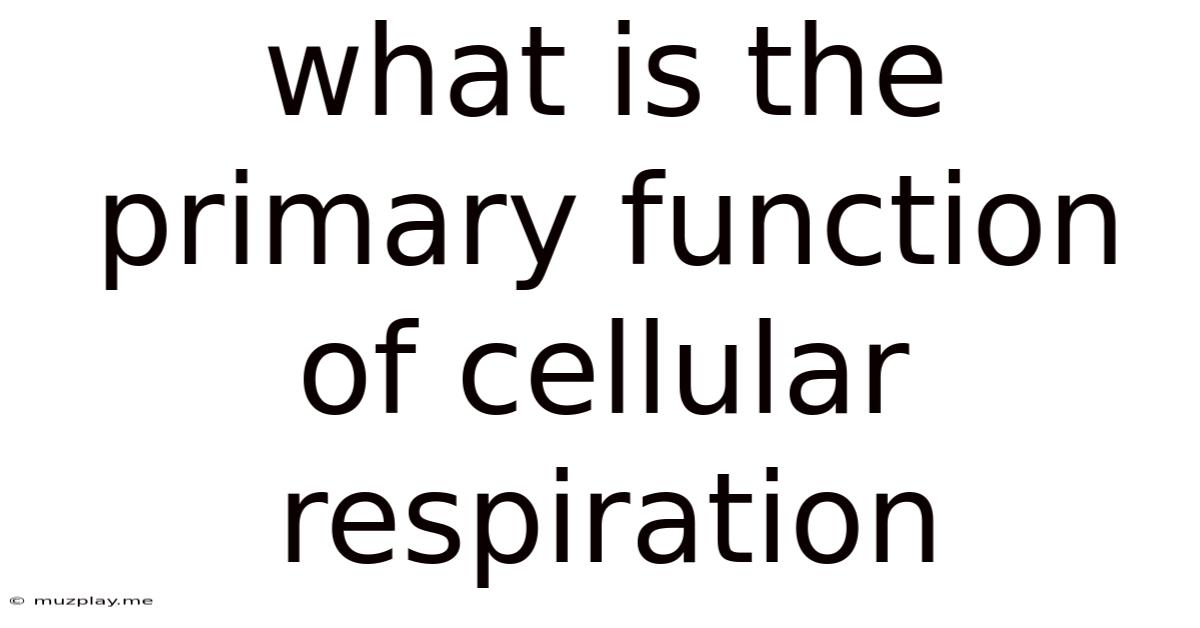 What Is The Primary Function Of Cellular Respiration