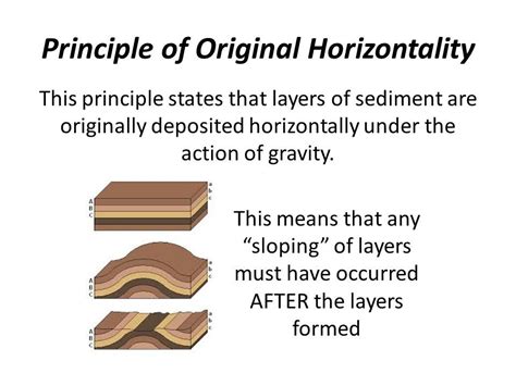 What Is The Principle Of Original Horizontality