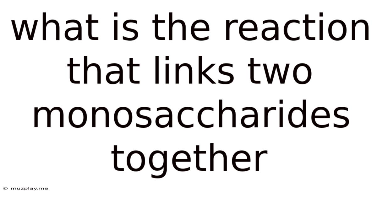 What Is The Reaction That Links Two Monosaccharides Together