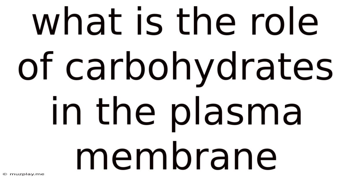 What Is The Role Of Carbohydrates In The Plasma Membrane