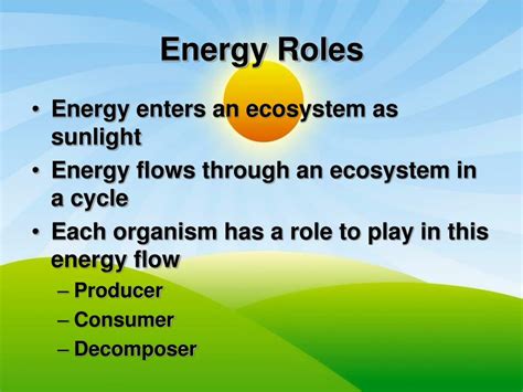 What Is The Role Of Energy In Living Organisms