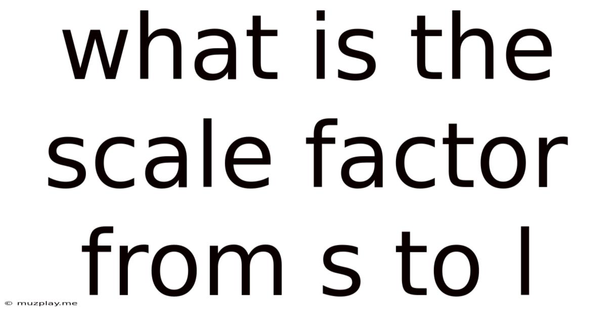 What Is The Scale Factor From S To L