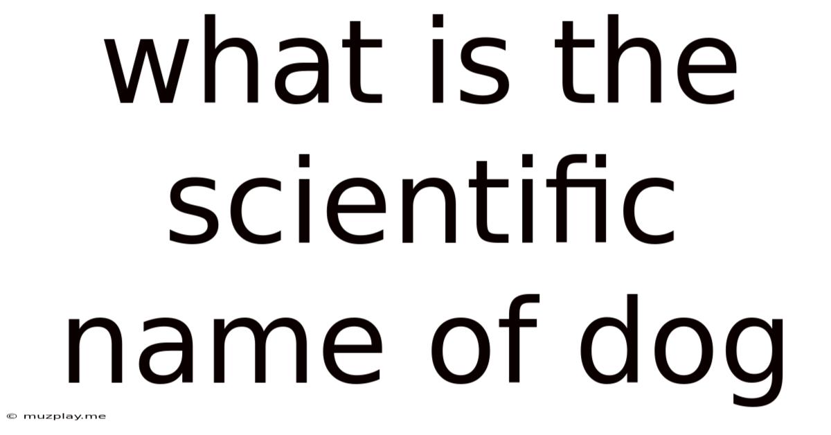 What Is The Scientific Name Of Dog