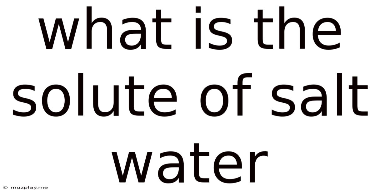 What Is The Solute Of Salt Water
