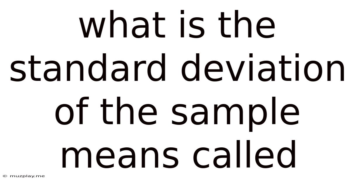 What Is The Standard Deviation Of The Sample Means Called