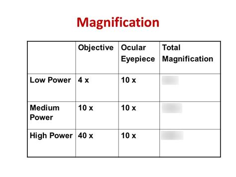 What Is The Total Magnification Of 4x