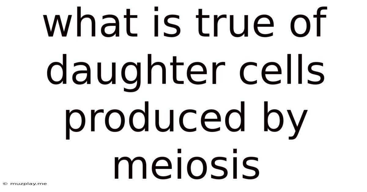 What Is True Of Daughter Cells Produced By Meiosis