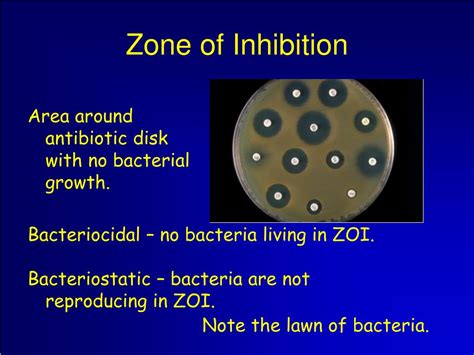 What Is Zone Of Inhibition In Microbiology