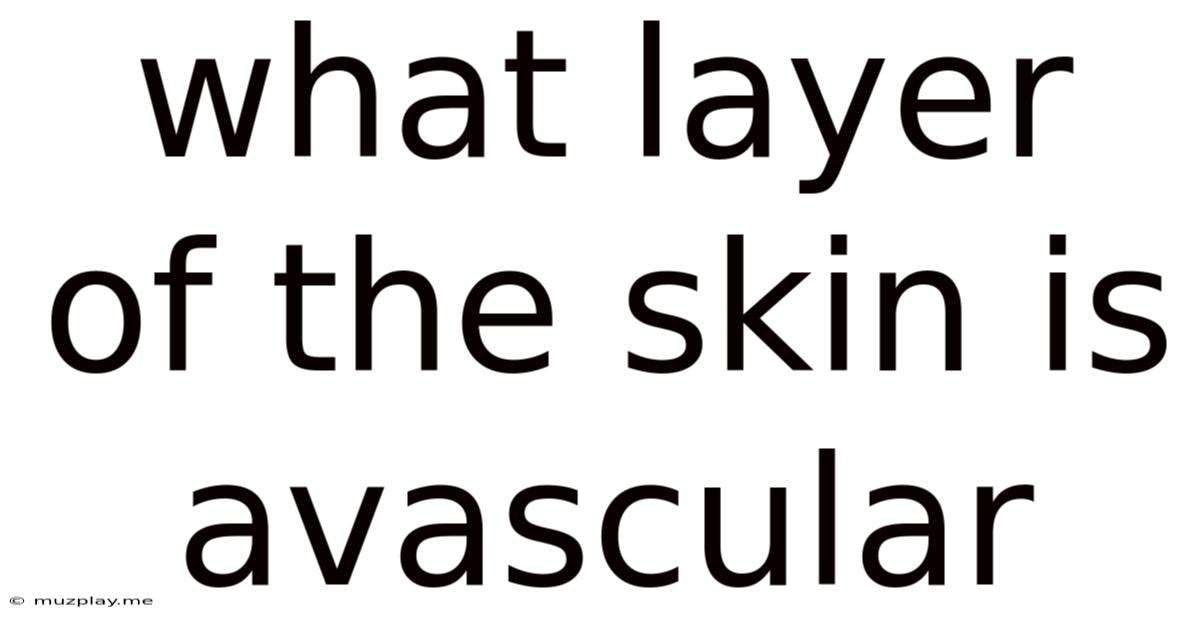 What Layer Of The Skin Is Avascular