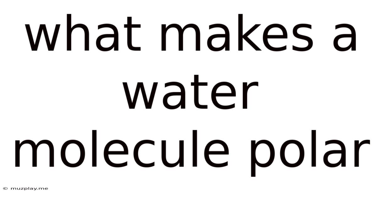 What Makes A Water Molecule Polar