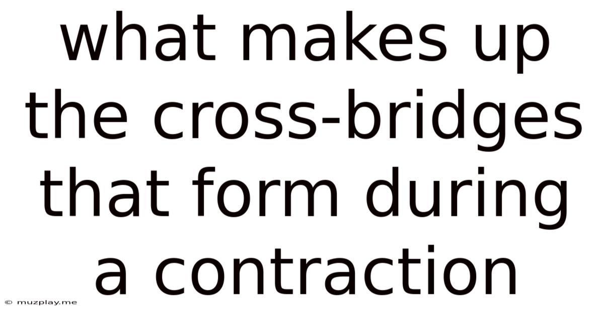 What Makes Up The Cross-bridges That Form During A Contraction