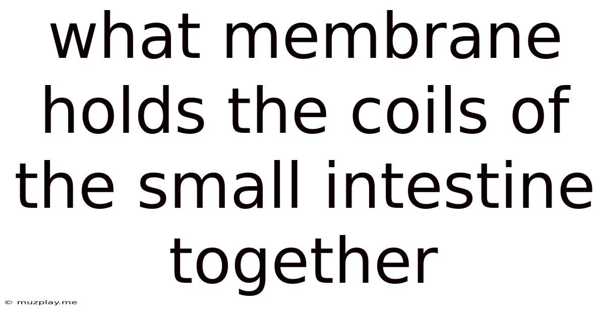 What Membrane Holds The Coils Of The Small Intestine Together
