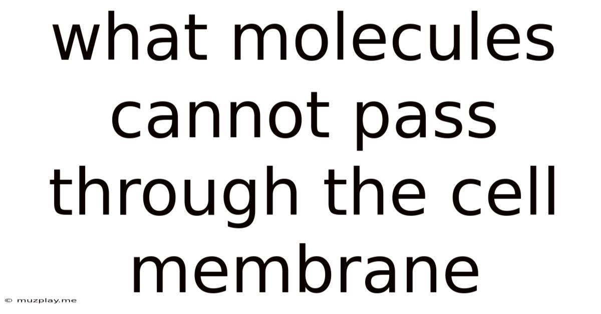 What Molecules Cannot Pass Through The Cell Membrane