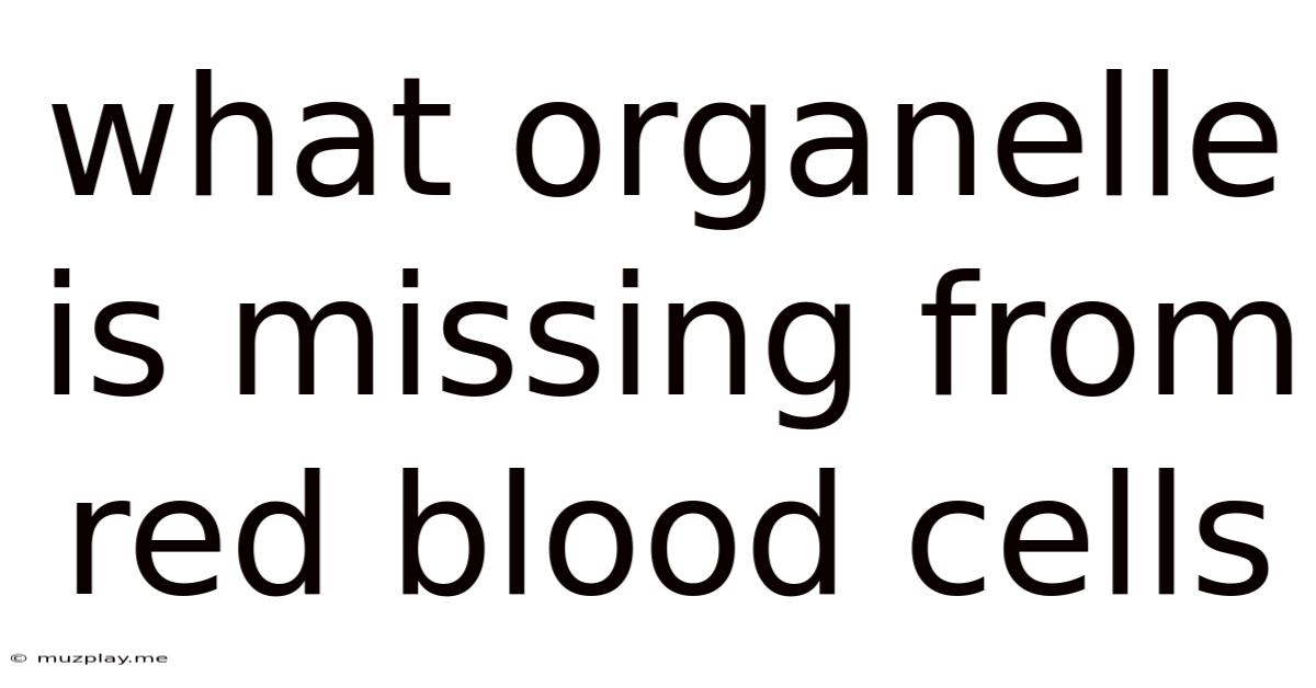 What Organelle Is Missing From Red Blood Cells