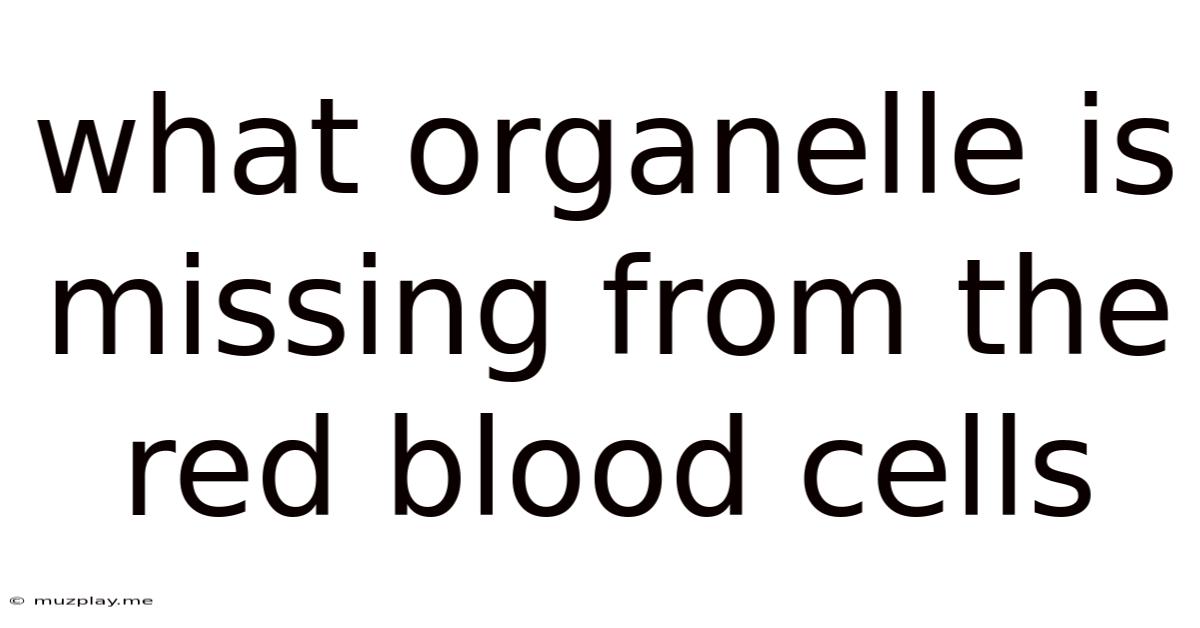 What Organelle Is Missing From The Red Blood Cells