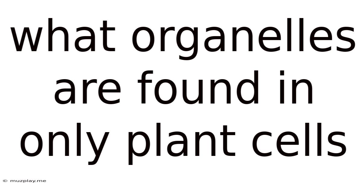 What Organelles Are Found In Only Plant Cells