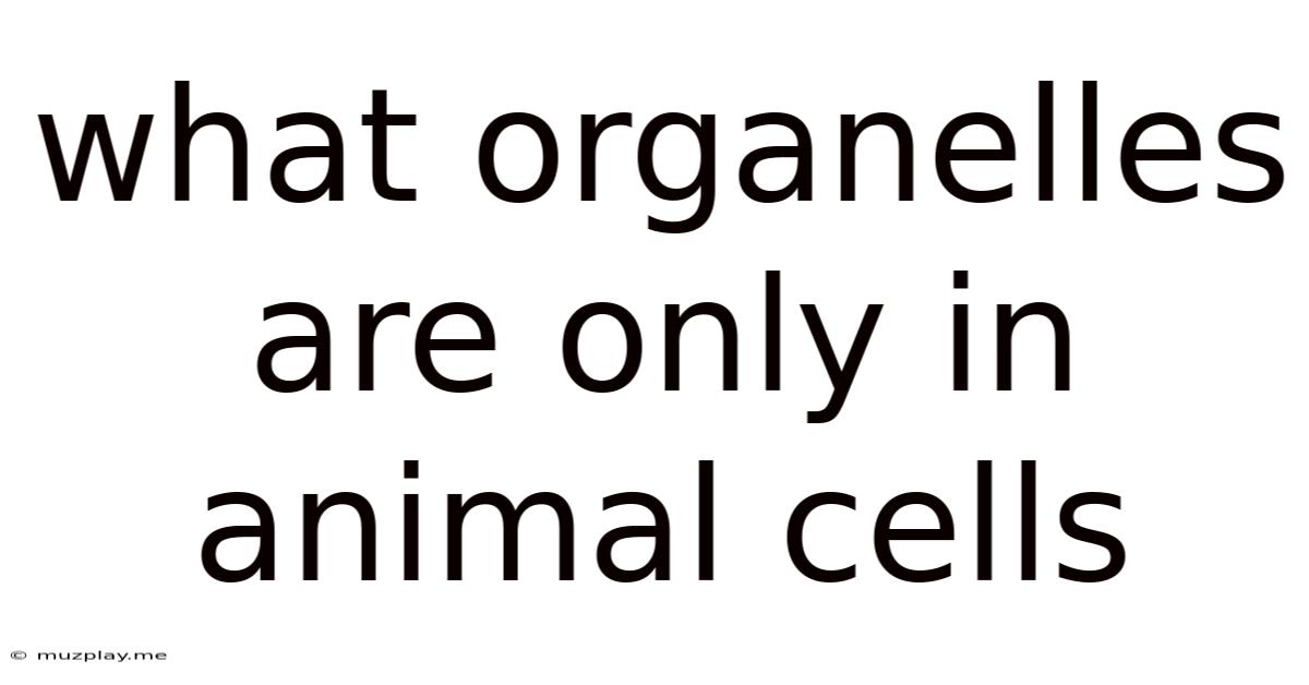 What Organelles Are Only In Animal Cells