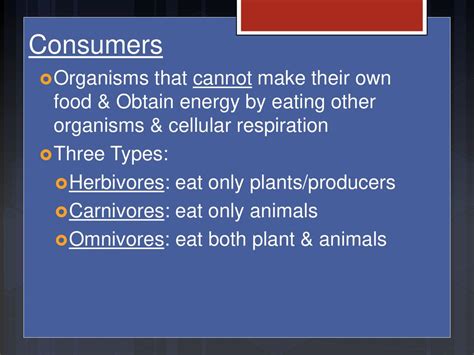 What Organisms Cannot Make Their Own Food