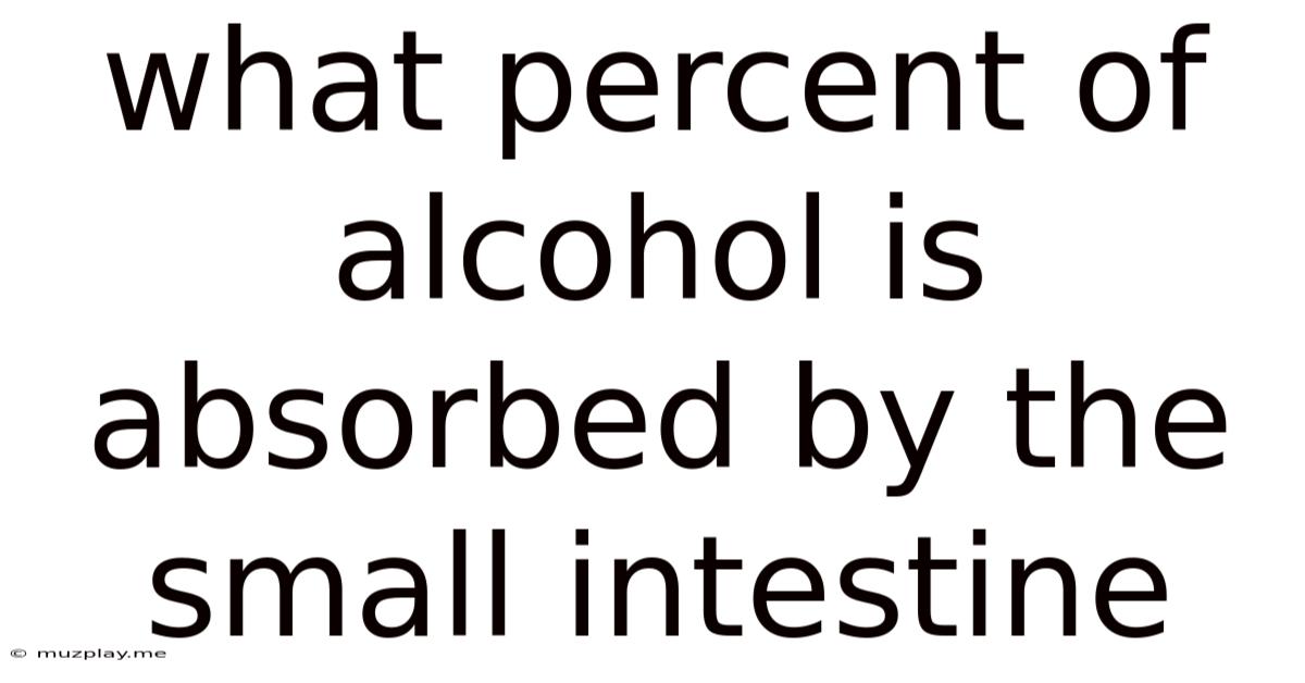 What Percent Of Alcohol Is Absorbed By The Small Intestine